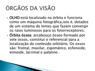  OLHO:está localizado na órbita e funciona
como um máquina fotográfica,isto é, dotados
de um sistema de lentes que fazem convergir
os raios luminosos para os fotorreceptores.
 Órbita óssea: arcabouço ósseo formado por
sete ossos, constitui o referencial para a
localização do conteúdo orbitário. Os ossos
são: frontal, maxilar, zigomático, esfenoide,
etmoide, lacrimal e palatino .
 