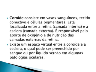  Coroide:consiste em vasos sanguíneos, tecido
conectivo e células pigmentares. Está
localizada entre a retina (camada interna) e a
esclera (camada externa). É responsável pelo
aporte de oxigênio e de nutrição das
camadas externas da retina.
 Existe um espaço virtual entre a coroide e a
esclera, o qual pode ser preenchido por
sangue ou por líquido seroso em algumas
patologias oculares.
 