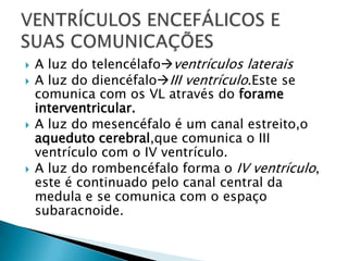 






A luz do telencélafoventrículos laterais
A luz do diencéfaloIII ventrículo.Este se
comunica com os VL através do forame
interventricular.
A luz do mesencéfalo é um canal estreito,o
aqueduto cerebral,que comunica o III
ventrículo com o IV ventrículo.
A luz do rombencéfalo forma o IV ventrículo,
este é continuado pelo canal central da
medula e se comunica com o espaço
subaracnoide.

 