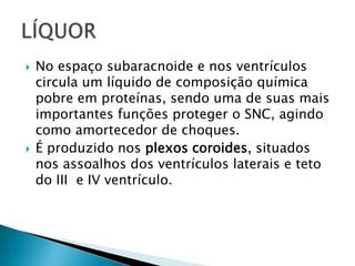 



No espaço subaracnoide e nos ventrículos
circula um líquido de composição química
pobre em proteínas, sendo uma de suas mais
importantes funções proteger o SNC, agindo
como amortecedor de choques.
É produzido nos plexos coroides, situados
nos assoalhos dos ventrículos laterais e teto
do III e IV ventrículo.

 