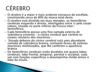








O cérebro é a maior e mais evidente estrutura do encéfalo,
constituindo cerca de 80% da massa total deste.
O cérebro está dividido em duas metades, os hemisférios
cerebrais esquerdo e direito, interligados entre si pelo corpo
caloso, situado na parte inferior da fissura interhemisférica.
Cada hemisfério possui uma fina camada externa de
substância cinzenta – o córtex cerebral que contém os
corpos celulares dos neurônios .
Situada debaixo do córtex cerebral está uma abundante
camada de substância branca, contendo feixes de axônios
neuronais mielinizados, que lhe conferem a aparência
branca.
Os hemisférios cerebrais estão divididos em quatro lobos
cerebrais: lobo frontal, temporal, parietal e occipital, cada
um com funções específicas a desempenhar.Ainda temos o
lobo da ínsula.

 