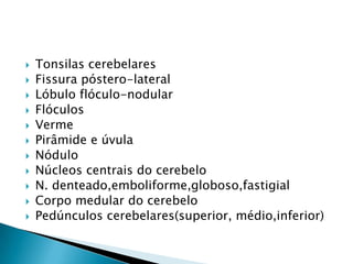 












Tonsilas cerebelares
Fissura póstero-lateral
Lóbulo flóculo-nodular
Flóculos
Verme
Pirâmide e úvula
Nódulo
Núcleos centrais do cerebelo
N. denteado,emboliforme,globoso,fastigial
Corpo medular do cerebelo
Pedúnculos cerebelares(superior, médio,inferior)

 