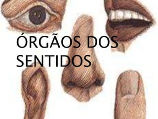 ÓRGÃOS DOS
SENTIDOS

 