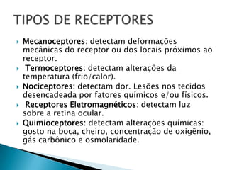 






Mecanoceptores: detectam deformações
mecânicas do receptor ou dos locais próximos ao
receptor.
Termoceptores: detectam alterações da
temperatura (frio/calor).
Nociceptores: detectam dor. Lesões nos tecidos
desencadeada por fatores químicos e/ou físicos.
Receptores Eletromagnéticos: detectam luz
sobre a retina ocular.
Quimioceptores: detectam alterações químicas:
gosto na boca, cheiro, concentração de oxigênio,
gás carbônico e osmolaridade.

 