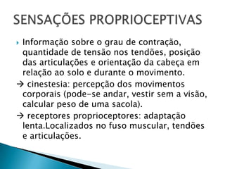 Informação sobre o grau de contração,
quantidade de tensão nos tendões, posição
das articulações e orientação da cabeça em
relação ao solo e durante o movimento.
 cinestesia: percepção dos movimentos
corporais (pode-se andar, vestir sem a visão,
calcular peso de uma sacola).
 receptores proprioceptores: adaptação
lenta.Localizados no fuso muscular, tendões
e articulações.


 