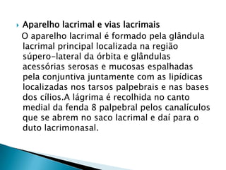

Aparelho lacrimal e vias lacrimais
O aparelho lacrimal é formado pela glândula
lacrimal principal localizada na região
súpero-lateral da órbita e glândulas
acessórias serosas e mucosas espalhadas
pela conjuntiva juntamente com as lipídicas
localizadas nos tarsos palpebrais e nas bases
dos cílios.A lágrima é recolhida no canto
medial da fenda 8 palpebral pelos canalículos
que se abrem no saco lacrimal e daí para o
duto lacrimonasal.

 