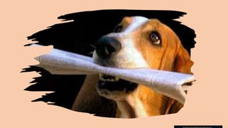 Esta Foto de Autor Desconhecido está licenciado em CC BY-SA-NC
 