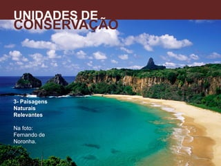 3- Paisagens
Naturais
Relevantes
Na foto:
Fernando de
Noronha.
UNIDADES DE
CONSERVAÇÃO
A
 
