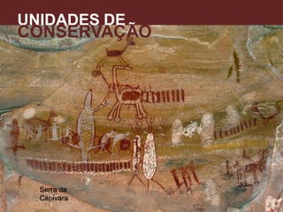 UNIDADES DE
CONSERVAÇÃO
A
Serra da
Capivara
 