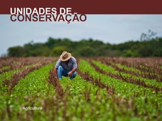 UNIDADES DE
CONSERVAÇÃO
A
Agricultura
 