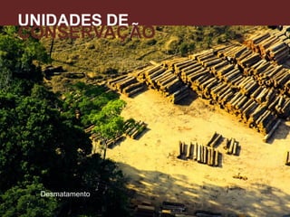 UNIDADES DE
CONSERVAÇÃO
A
Desmatamento
 