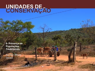 6- Presença de
Populações
Tradicionais
Na foto: Minas
Gerais
UNIDADES DE
CONSERVAÇÃO
A
 