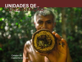 UNIDADES DE
CONSERVAÇÃO
A
Catador de
Castanha-do-Pará
 