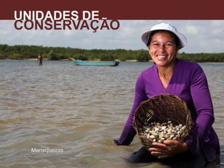 UNIDADES DE
CONSERVAÇÃO
A
Marisqueiras
 