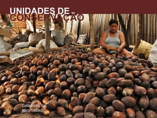 UNIDADES DE
CONSERVAÇÃO
A
Catadoras de
côco babaçu
 