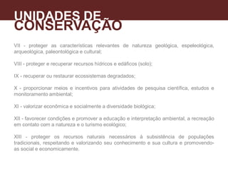 VII - proteger as características relevantes de natureza geológica, espeleológica,
arqueológica, paleontológica e cultural;
VIII - proteger e recuperar recursos hídricos e edáficos (solo);
IX - recuperar ou restaurar ecossistemas degradados;
X - proporcionar meios e incentivos para atividades de pesquisa científica, estudos e
monitoramento ambiental;
XI - valorizar econômica e socialmente a diversidade biológica;
XII - favorecer condições e promover a educação e interpretação ambiental, a recreação
em contato com a natureza e o turismo ecológico;
XIII - proteger os recursos naturais necessários à subsistência de populações
tradicionais, respeitando e valorizando seu conhecimento e sua cultura e promovendo-
as social e economicamente.
UNIDADES DE
CONSERVAÇÃO
A
 