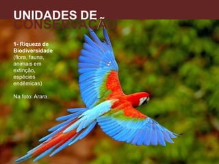 1- Riqueza de
Biodiversidade
(flora, fauna,
animais em
extinção,
espécies
endêmicas)
Na foto: Arara.
UNIDADES DE
CONSERVAÇÃO
A
 