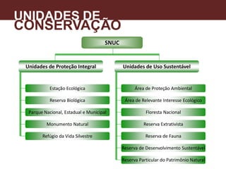 UNIDADES DE
CONSERVAÇÃO
A
SNUC
Reserva Particular do Patrimônio Natural
Reserva de Desenvolvimento Sustentável
Unidades de Proteção Integral Unidades de Uso Sustentável
Estação Ecológica
Reserva Biológica
Parque Nacional, Estadual e Municipal
Monumento Natural
Refúgio da Vida Silvestre
Área de Proteção Ambiental
Área de Relevante Interesse Ecológico
Floresta Nacional
Reserva Extrativista
Reserva de Fauna
 