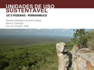 UC’S FEDERAIS - PERNAMBUCO
Reserva Biológica de Serra Negra
Bioma: Caatinga
Ano de Criação: 1982
UNIDADES DE USO
SUSTENTÁVEL
 