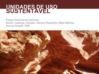 Parque Nacional do Catimbau
Bioma: Caatinga, Cerrado, Campos Rupestres, Mata Atlântica
Ano de Criação: 1997
UNIDADES DE USO
SUSTENTÁVEL
 