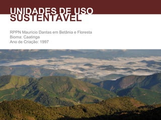 RPPN Maurício Dantas em Betânia e Floresta
Bioma: Caatinga
Ano de Criação: 1997
UNIDADES DE USO
SUSTENTÁVEL
 