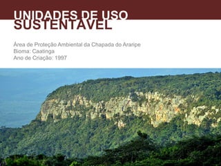 Área de Proteção Ambiental da Chapada do Araripe
Bioma: Caatinga
Ano de Criação: 1997
UNIDADES DE USO
SUSTENTÁVEL
 
