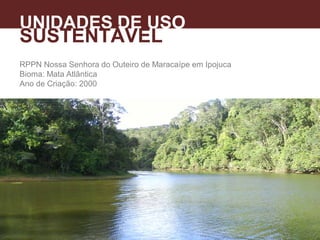 RPPN Nossa Senhora do Outeiro de Maracaípe em Ipojuca
Bioma: Mata Atlântica
Ano de Criação: 2000
UNIDADES DE USO
SUSTENTÁVEL
 