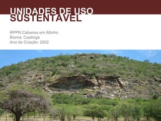 RPPN Cabanos em Altinho
Bioma: Caatinga
Ano de Criação: 2002
UNIDADES DE USO
SUSTENTÁVEL
 
