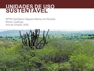 RPPN Cantidiano Valgueiro Barros em Floresta
Bioma: Caatinga
Ano de Criação: 2002
UNIDADES DE USO
SUSTENTÁVEL
 