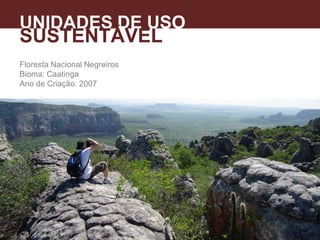 Floresta Nacional Negreiros
Bioma: Caatinga
Ano de Criação: 2007
UNIDADES DE USO
SUSTENTÁVEL
 