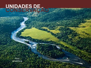 UNIDADES DE
CONSERVAÇÃO
Flora
amazônica
A
 