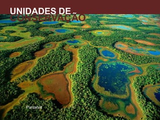 Pantanal
UNIDADES DE
CONSERVAÇÃO
A
 