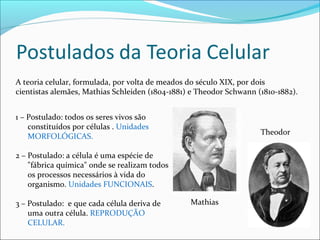 1 – Postulado: todos os seres vivos são
constituídos por células . Unidades
MORFOLÓGICAS.
2 – Postulado: a célula é uma espécie de
"fábrica química" onde se realizam todos
os processos necessários à vida do
organismo. Unidades FUNCIONAIS.
3 – Postulado: e que cada célula deriva de
uma outra célula. REPRODUÇÃO
CELULAR.
A teoria celular, formulada, por volta de meados do século XIX, por dois
cientistas alemães, Mathias Schleiden (1804-1881) e Theodor Schwann (1810-1882).
Mathias
Theodor
 