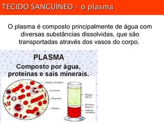 O plasma é composto principalmente de água com
diversas substâncias dissolvidas, que são
transportadas através dos vasos do corpo.
 