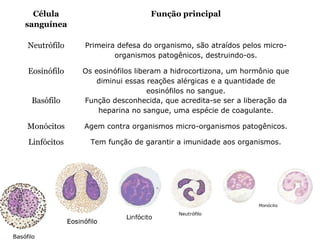 Célula
sanguínea
Função principal
Neutrófilo Primeira defesa do organismo, são atraídos pelos micro-
organismos patogênicos, destruindo-os.
Eosinófilo Os eosinófilos liberam a hidrocortizona, um hormônio que
diminui essas reações alérgicas e a quantidade de
eosinófilos no sangue.
Basófilo Função desconhecida, que acredita-se ser a liberação da
heparina no sangue, uma espécie de coagulante.
Monócitos Agem contra organismos micro-organismos patogênicos.
Linfócitos Tem função de garantir a imunidade aos organismos.
 
