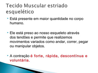  Está presente em maior quantidade no corpo
humano.
 Ele está preso ao nosso esqueleto através
dos tendões e permite que realizemos
movimentos variados como andar, correr, pegar
ou manipular objetos.
 A contração é forte, rápida, descontínua e
voluntária.
 