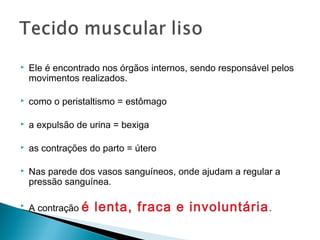  Ele é encontrado nos órgãos internos, sendo responsável pelos
movimentos realizados.
 como o peristaltismo = estômago
 a expulsão de urina = bexiga
 as contrações do parto = útero
 Nas parede dos vasos sanguíneos, onde ajudam a regular a
pressão sanguínea.

A contração é lenta, fraca e involuntária.
 