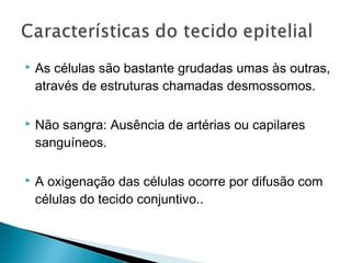  As células são bastante grudadas umas às outras,
através de estruturas chamadas desmossomos.
 Não sangra: Ausência de artérias ou capilares
sanguíneos.
 A oxigenação das células ocorre por difusão com
células do tecido conjuntivo..
 