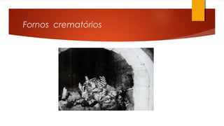 Fornos crematórios
 