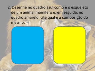 2. Desenhe no quadro azul como é o esqueleto
de um animal mamífero e, em seguida, no
quadro amarelo, cite qual é a composição do
mesmo.