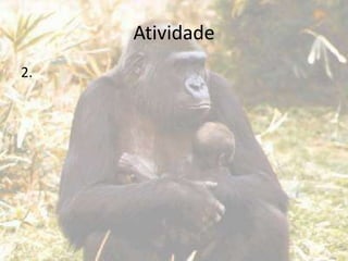 Atividade
2.