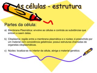 As células - estrutura

Partes da célula:
a) Membrana Plasmática: envolve as células e controla as substâncias que
   entram e saem delas.

b) Citoplasma: região entre a membrana plasmática e o núcleo; é preenchido por
   um material com consistência gelatinosa; possui estruturas chamadas de
   organelas citoplasmáticas.

c) Núcleo: localiza-se no interior da célula, abriga o material genético.
 
