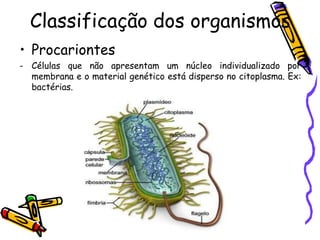 Classificação dos organismos
• Procariontes
- Células que não apresentam um núcleo individualizado por
  membrana e o material genético está disperso no citoplasma. Ex:
  bactérias.
 