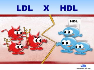 LDL  X  HDL 