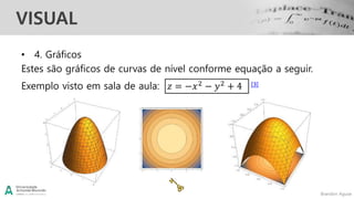 Brandon Aguiar
VISUAL
• 4. Gráficos
Estes são gráficos de curvas de nível conforme equação a seguir.
Exemplo visto em sala de aula: 𝑧 = −𝑥2 − 𝑦2 + 4 [3]
 