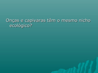 Onças e capivaras têm o mesmo nichoOnças e capivaras têm o mesmo nicho
ecológico?ecológico?
 