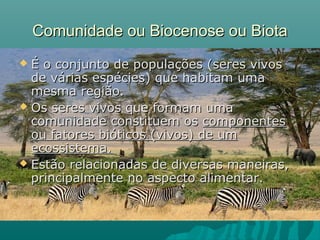 Comunidade ou Biocenose ou BiotaComunidade ou Biocenose ou Biota
 É o conjunto de populações (seres vivosÉ o conjunto de populações (seres vivos
de várias espécies) que habitam umade várias espécies) que habitam uma
mesma região.mesma região.
 Os seres vivos que formam umaOs seres vivos que formam uma
comunidade constituem oscomunidade constituem os componentescomponentes
ou fatores bióticos (vivos) de umou fatores bióticos (vivos) de um
ecossistema.ecossistema.
 Estão relacionadas de diversas maneiras,Estão relacionadas de diversas maneiras,
principalmente no aspecto alimentar.principalmente no aspecto alimentar.
 
