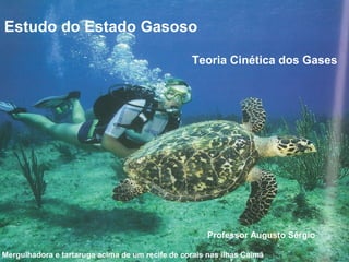 Estudo do Estado Gasoso

                                                  Teoria Cinética dos Gases




                                                      Professor Augusto Sérgio
                                                       Professor Augusto Sérgio
Mergulhadora e tartaruga acima de um recife de corais nas ilhas Caimã
 