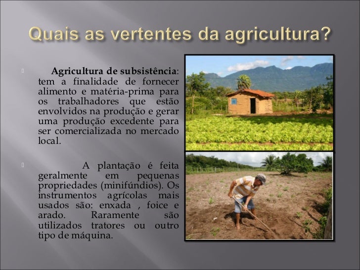 Explique O Que é Agricultura De Subsistência
