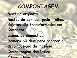  Matéria orgânica
 Restos de comida, poda, folhas,
dejetos são transformados em
Composto
 Usinas ou doméstica
 Demora 60 dias para ocorrer a
decomposição da matéria
 Compostagem doméstica

 